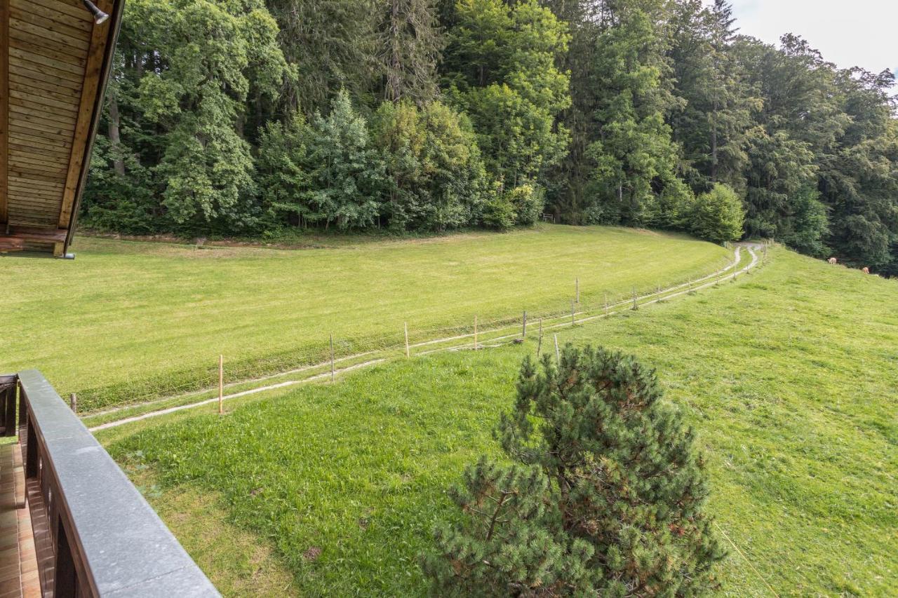 Ferienwohnung Oberrissglueck シュリールゼー エクステリア 写真